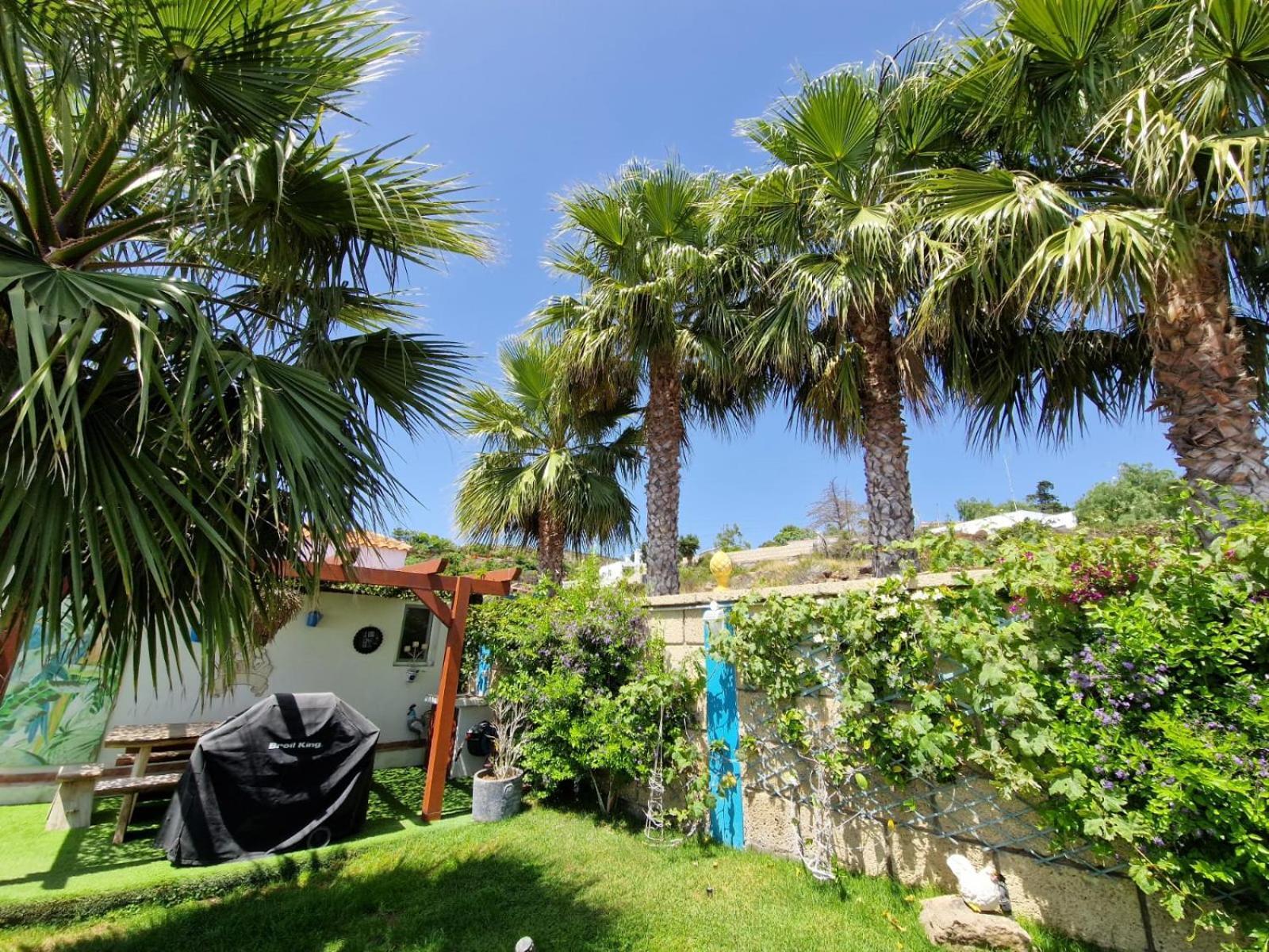Escape To Finca Conejo, Typical Canarian House Private Jacuzzi, Sauna, Gym, Finca Conejo Taucho By Aqua Vista Tenerife 阿德耶 外观 照片