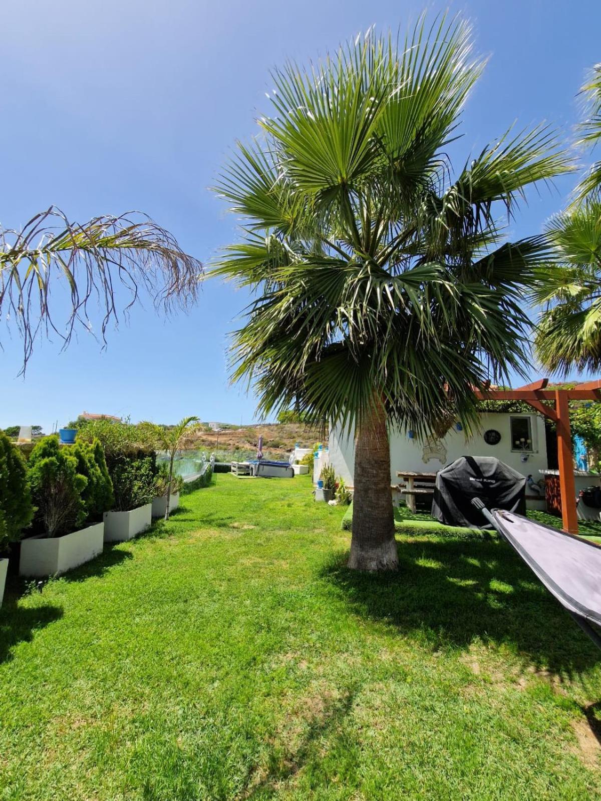Escape To Finca Conejo, Typical Canarian House Private Jacuzzi, Sauna, Gym, Finca Conejo Taucho By Aqua Vista Tenerife 阿德耶 外观 照片